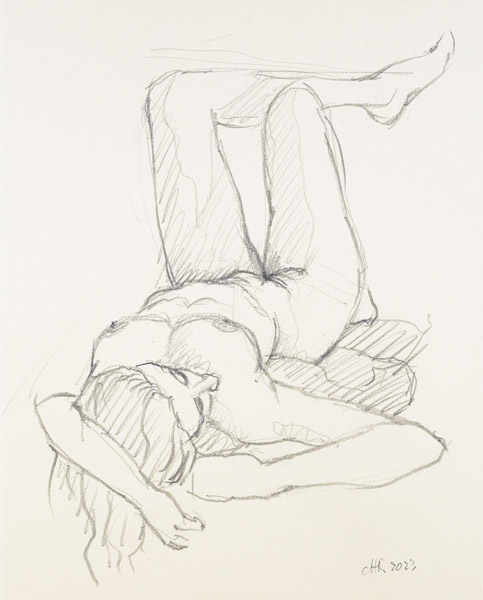dessin de nu féminin