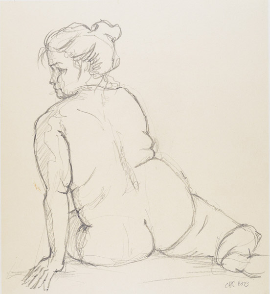 dessin de nu féminin