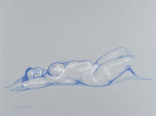 dessin de nu féminin