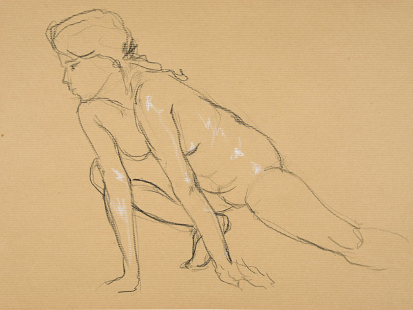 dessin de nu féminin