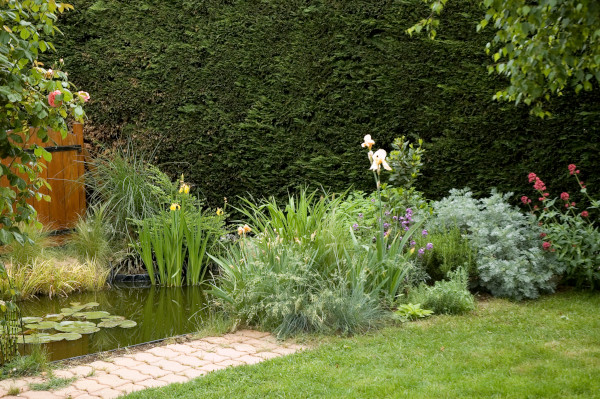 jardin