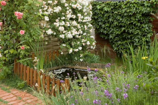 jardin