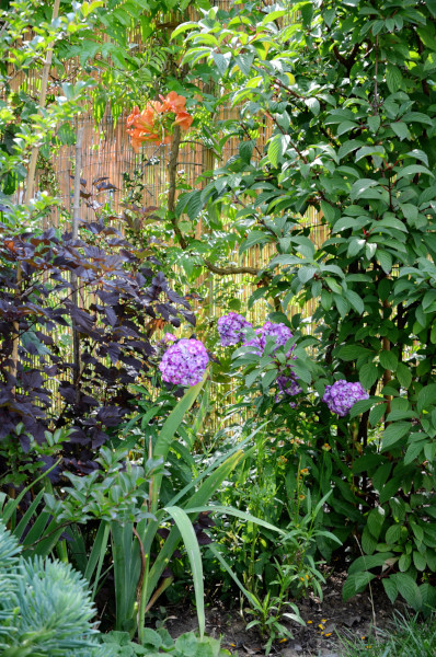 jardin