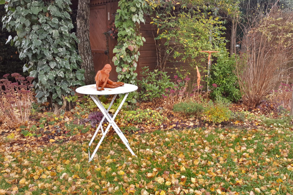 jardin