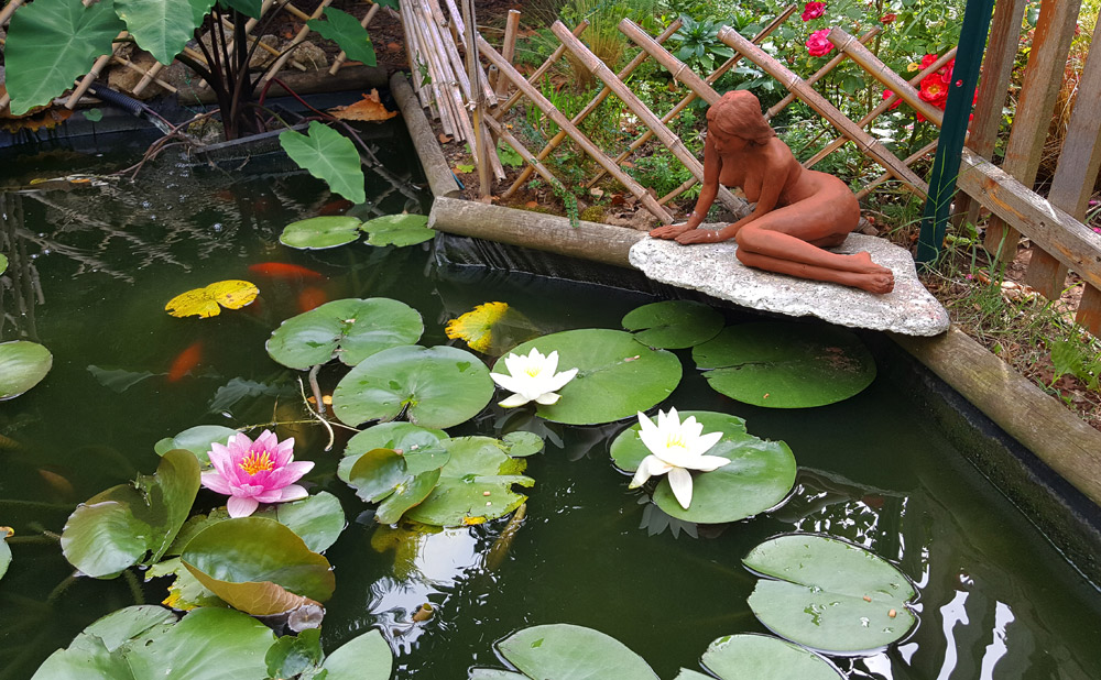 jardin