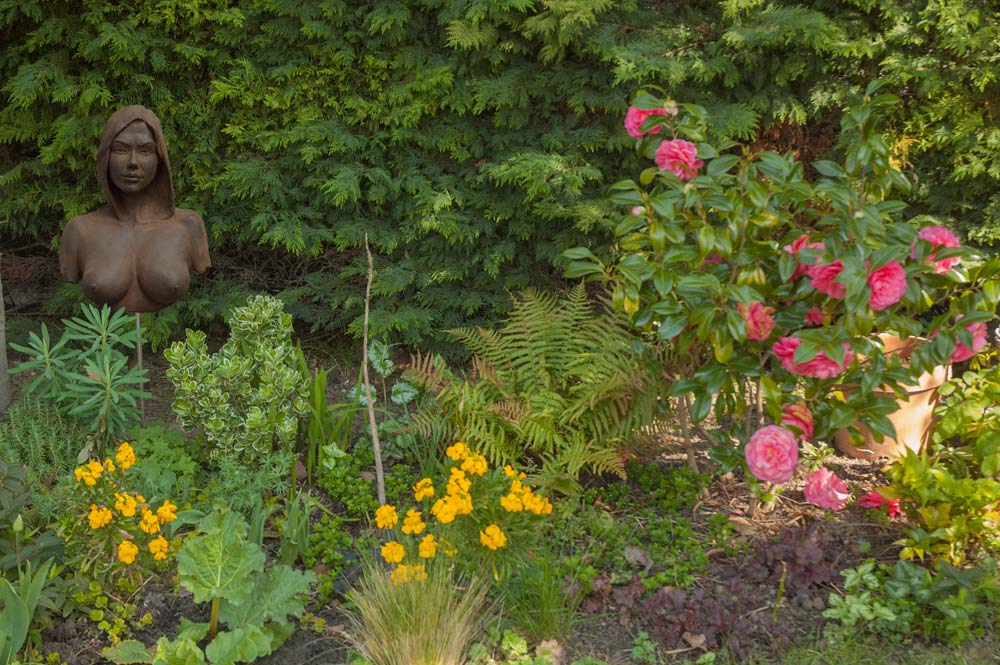 jardin
