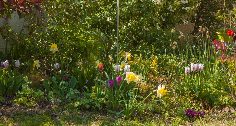 jardin