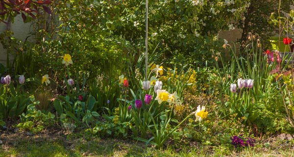 jardin