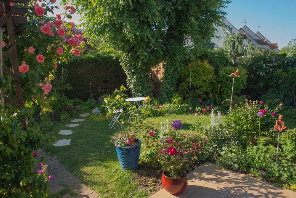 jardin