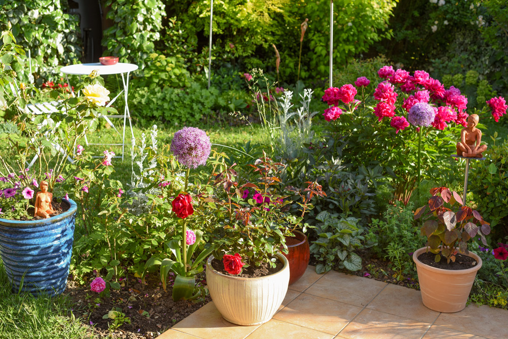 jardin