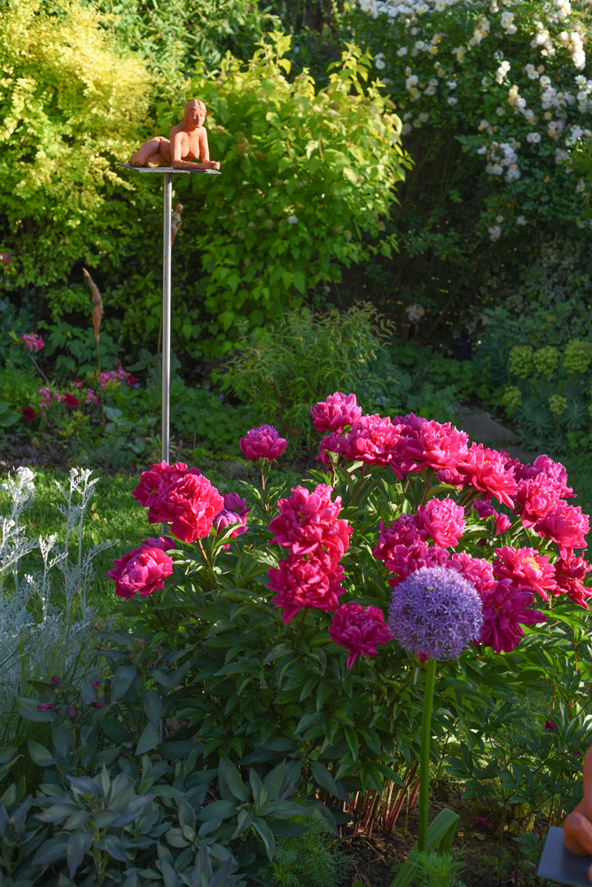 jardin
