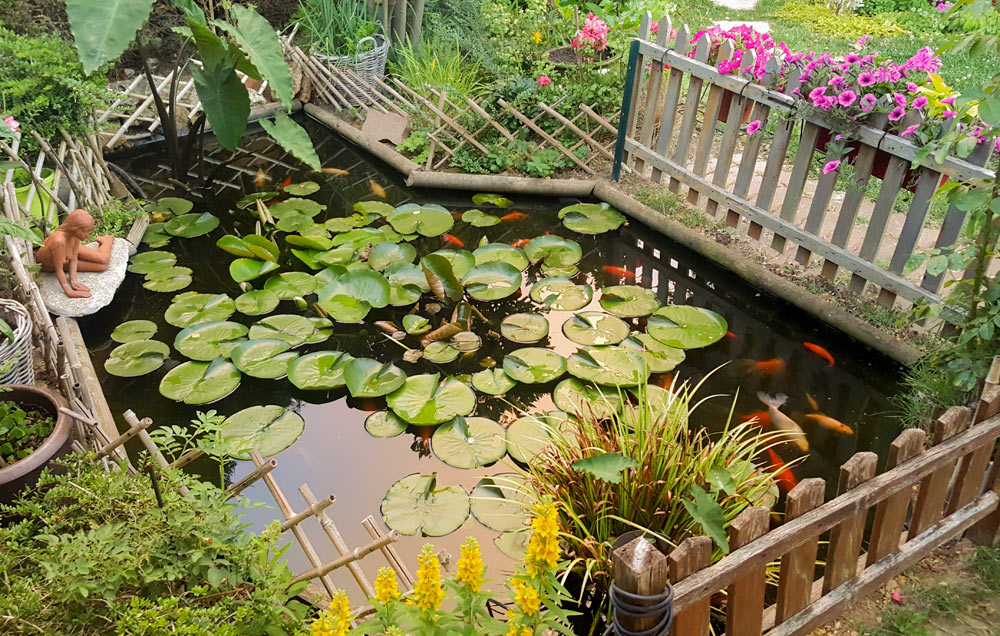 jardin