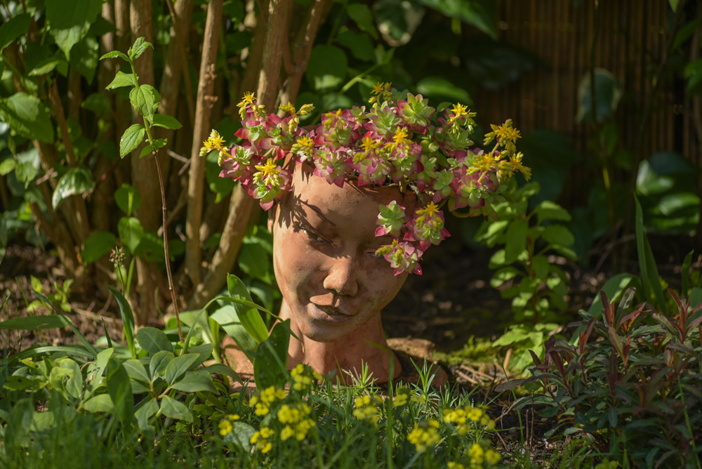 jardin