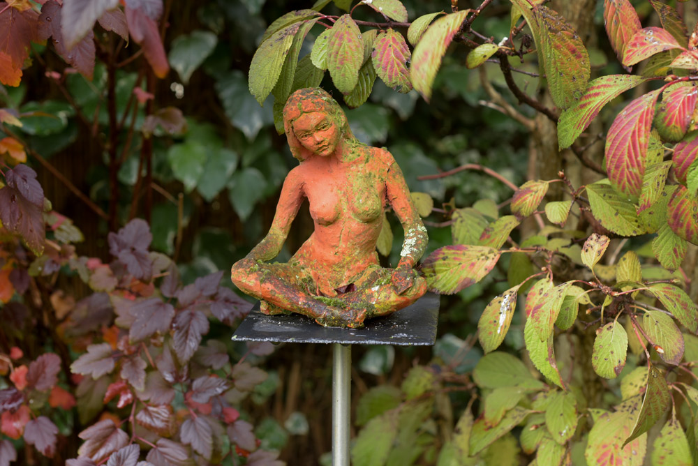 jardin