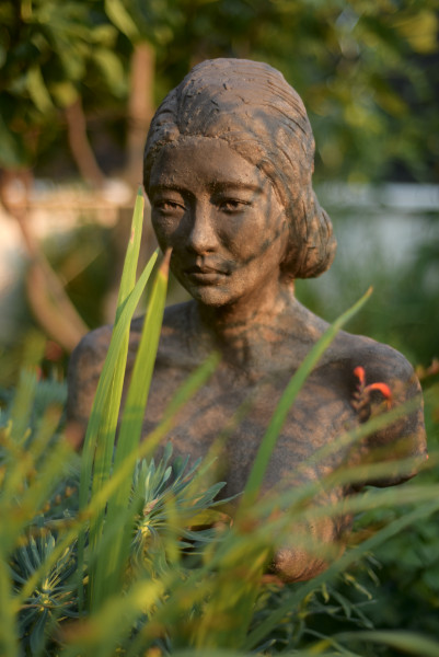 jardin