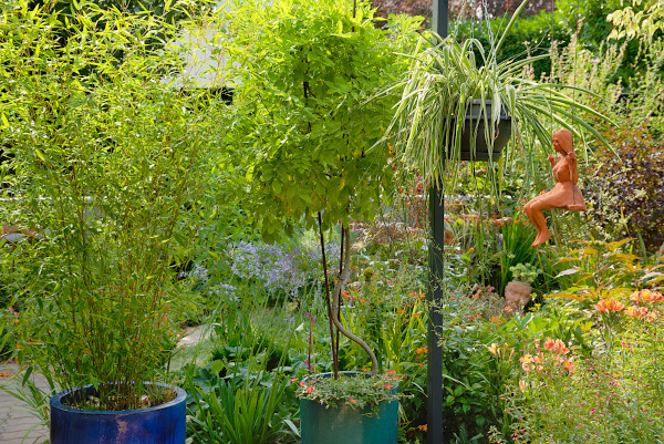 jardin