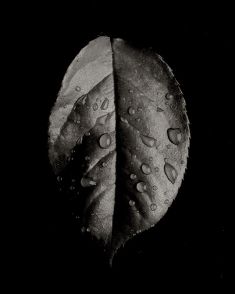 Objets