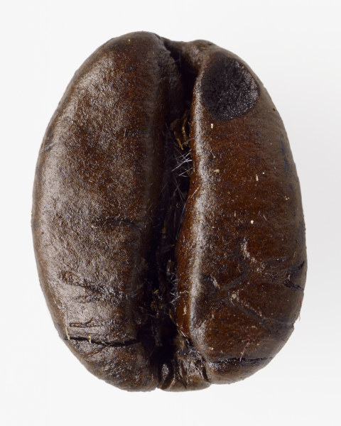 Grain de café