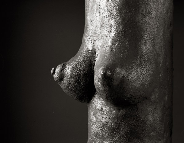 seins